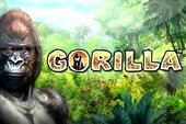 Gorilla Free Slots